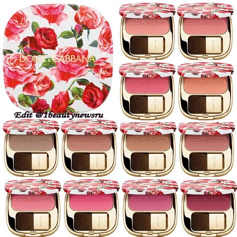 dolce & gabbana blush of roses